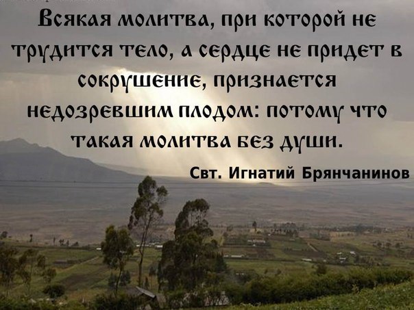 Святитель Игнатий (Брянчанинов), епископ Ставропольский и Кавказский.