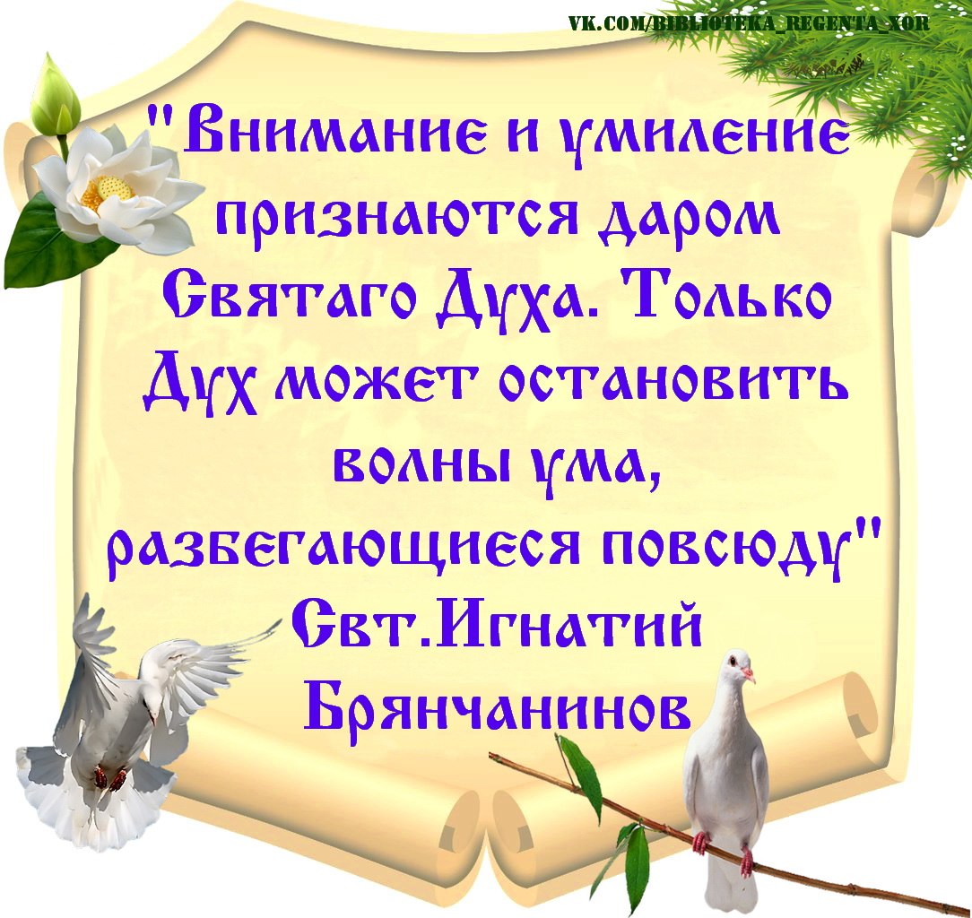 Святитель Игнатий (Брянчанинов), епископ Ставропольский и Кавказский.